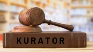 Tugas Kurator, Pihak yang Sering “Muncul” di Setiap Pabrik, Tidak Berhasil