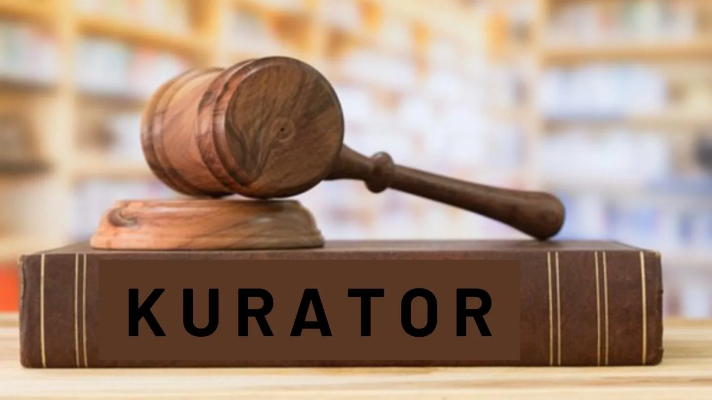 Tugas Kurator, Pihak yang Sering “Muncul” di Setiap Pabrik, Tidak Berhasil