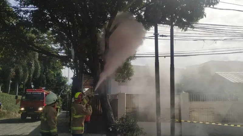 Kabel Terbakar di Jagakarsa! PLN Bongkar Penyebab & Peringatkan Bahaya Pengikatan Kabel Sembarangan.