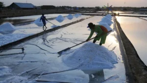 RI Setop Impor Garam 2027: Indonesia Siap Swasembada Garam Nasional!