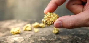Merdeka Gold Resources Resmikan Penambangan Perdana Proyek Emas Pani, Target Produksi Capai 500 Ribu Ounces per Tahun